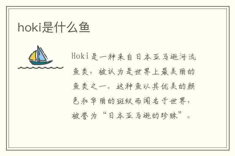 hoki是什么鱼(hogfish是什么鱼)